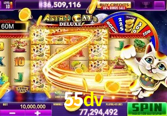 Security Systems 55dv