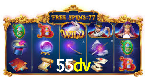 Premium Interface 55dv